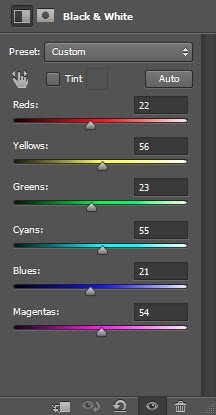 1 bw 1 bw1 Freestyle Human Portrait Manipulation in Photoshop with Brush Painting and Layer Masking